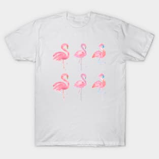 Pink Flamingos T-Shirt